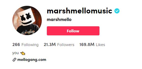 15. Marshmello Top TikTok Influencers, TikTok Stars, and Tiktokers
