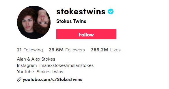 20 Stokes twins famous tiktokers
