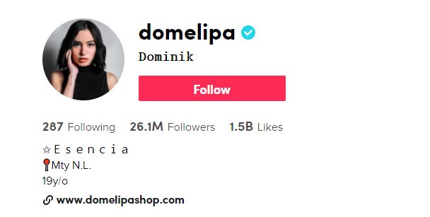 25. Dominik Lipa Top TikTok Influencers, TikTok Stars, and Tiktokers