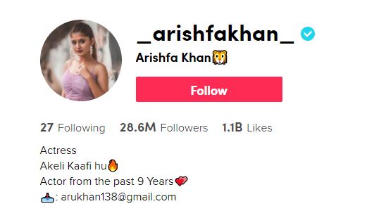 31 Arishfa Khan famous tiktokers