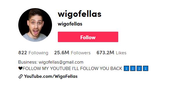 34. Wigo Fellas Top TikTok Influencers, TikTok Stars, and Tiktokers