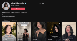 Screen Shot 2024 03 11 at 3.42.51 PM TikTok Influencers and Best TikTokers