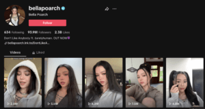 Screen Shot 2024 03 11 at 3.43.24 PM TikTok Influencers and Best TikTokers