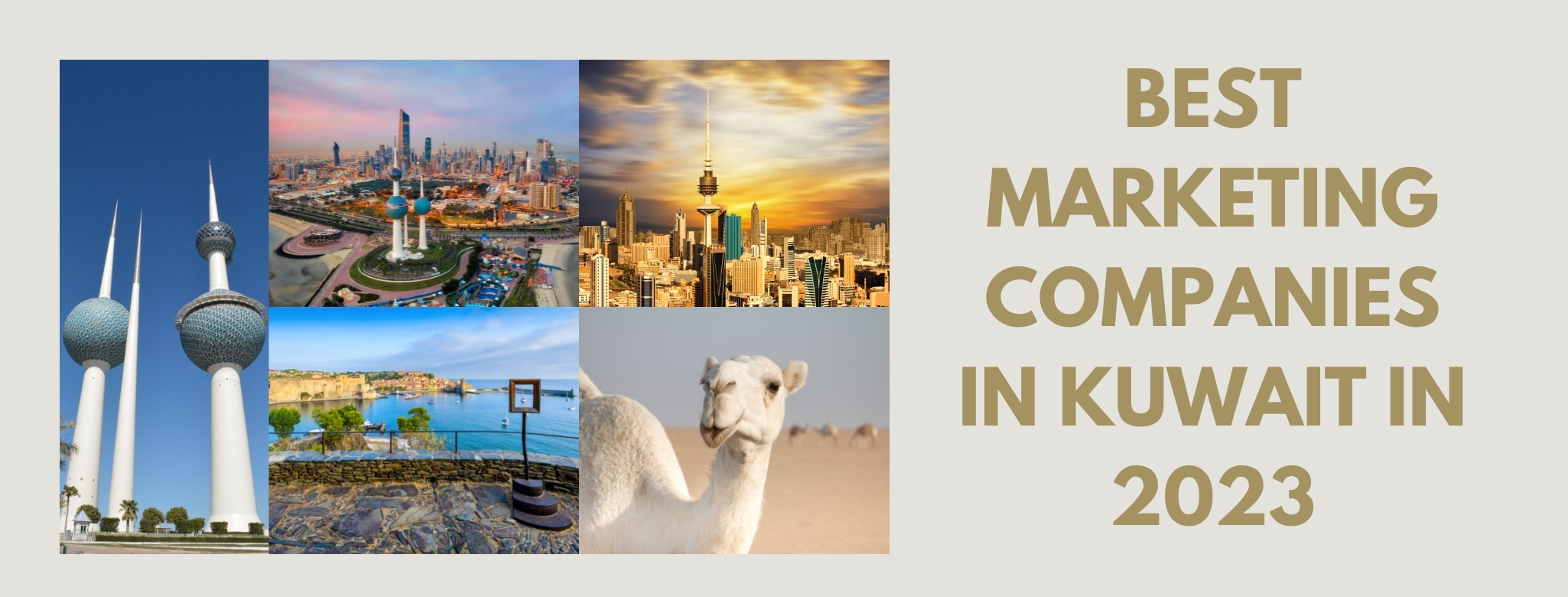 music marketing agencies 60 best marketing companies in Kuwait
